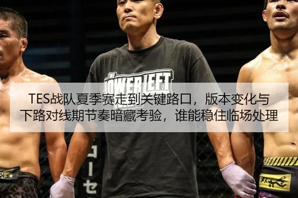 TES战队夏季赛走到关键路口，版本变化与下路对线期节奏暗藏考验，谁能稳住临场处理